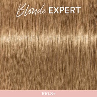 100.8+ Ultra blond chocolate plus